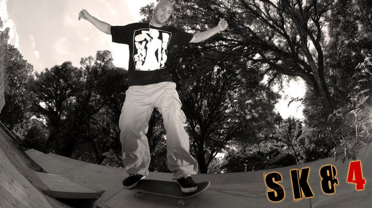 Skate 4 Game